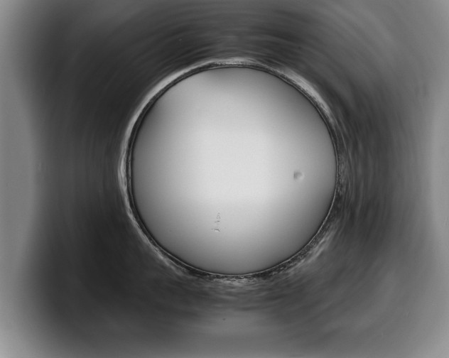 X0000100310959200806051326