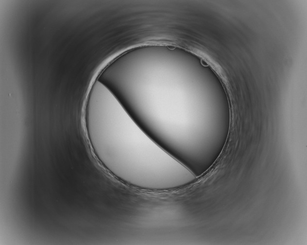 X0000100310960200806051326