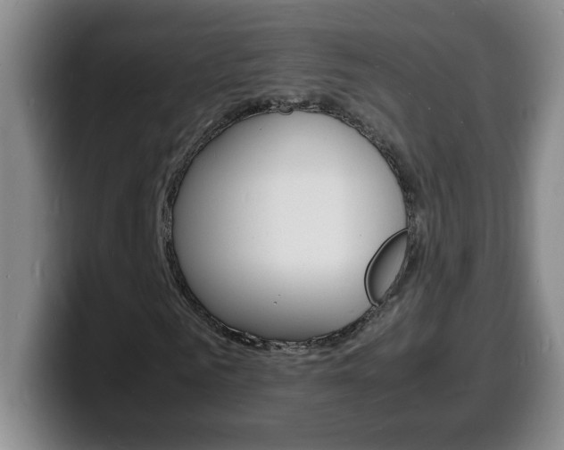 X0000100310961200806051325