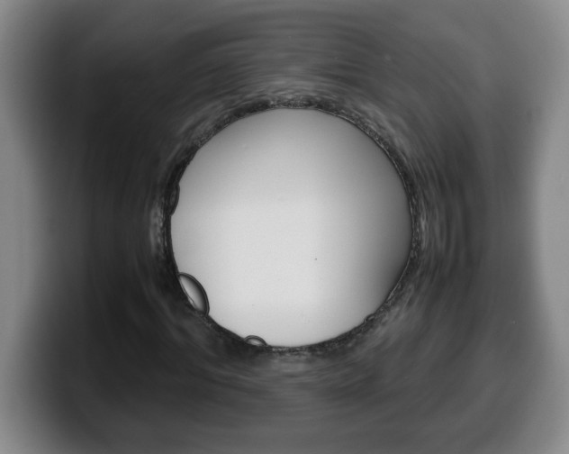 X0000100310964200806051325