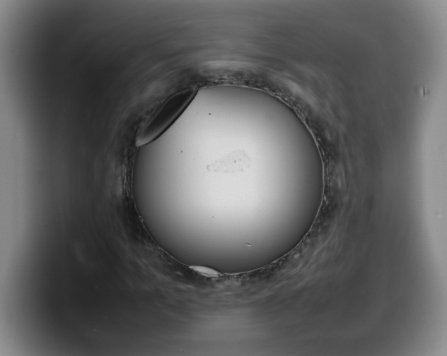 X0000100310965200806051325