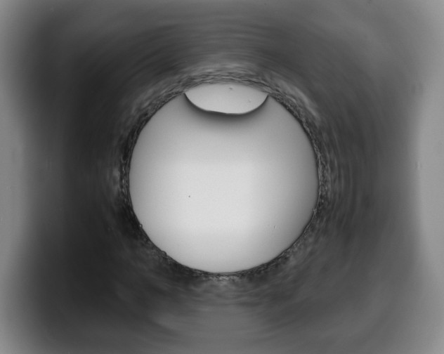 X0000100310966200806051325