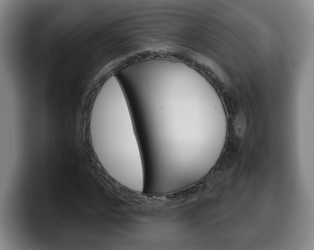 X0000100310968200806051325