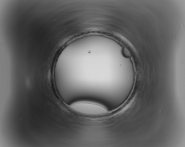 X0000100310969200806051325