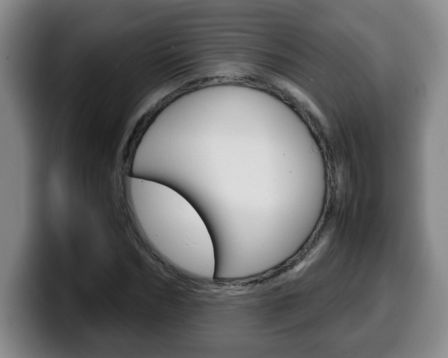 X0000100310970200806051325