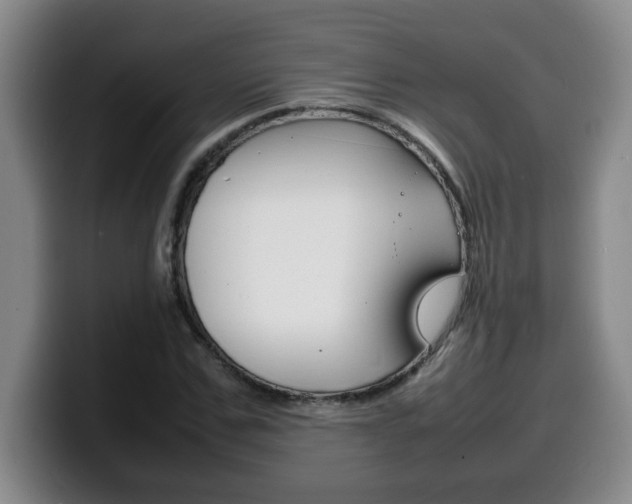 X0000100310971200806051325