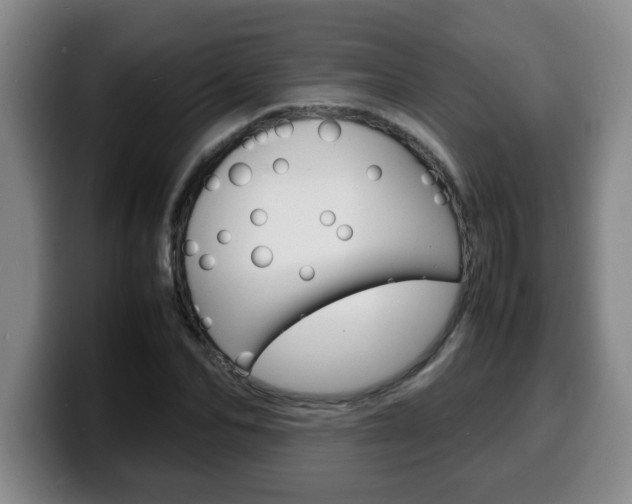 X0000100310974200806051325