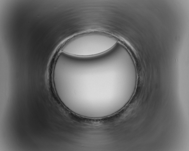 X0000100310975200806051325