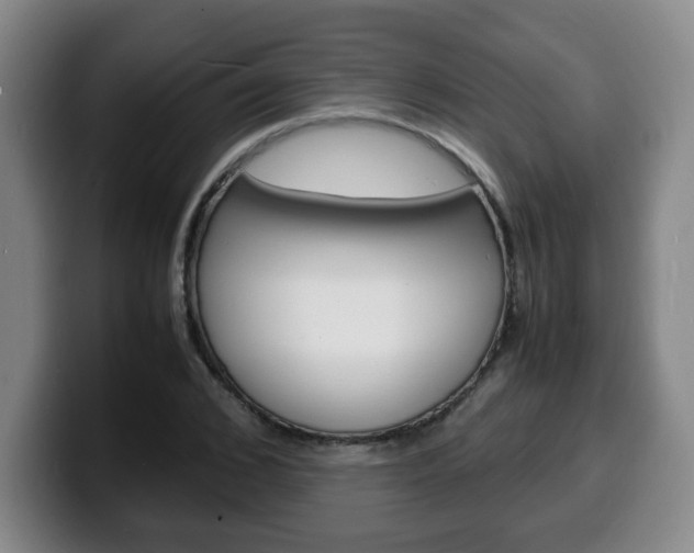 X0000100310976200806051325