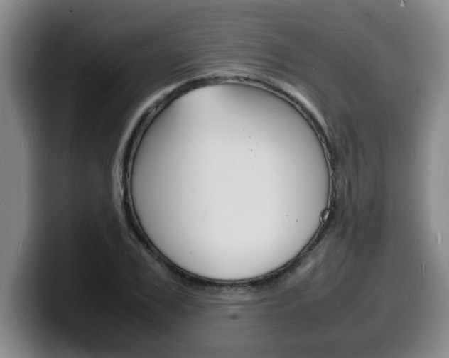 X0000100310979200806051325