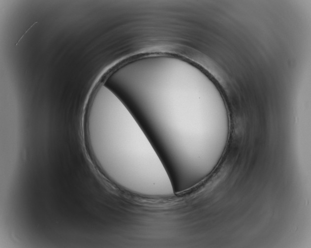 X0000100310980200806051325