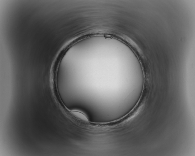 X0000100310981200806051325
