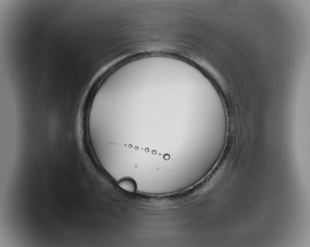 X0000100310983200806051325