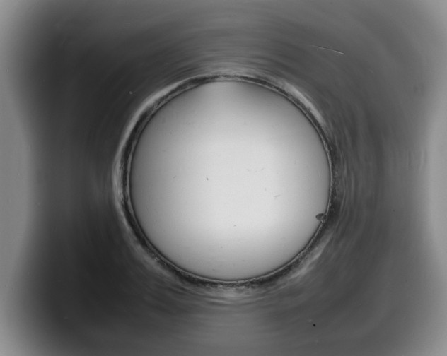 X0000100310987200806051325