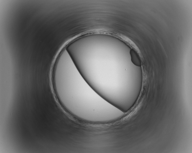 X0000100310989200806051325