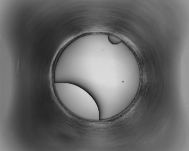 X0000100310990200806051325
