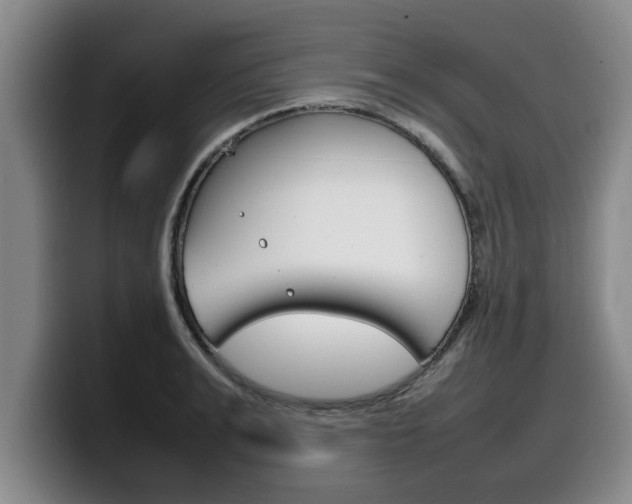 X0000100310991200806051325