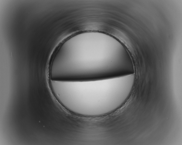 X0000100310992200806051325