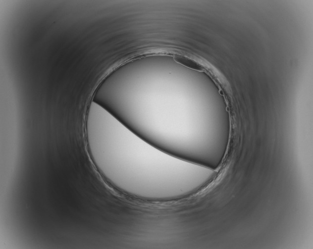 X0000100310993200806051325