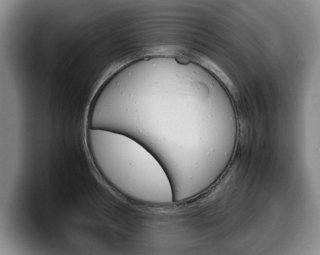 X0000100310994200806051325