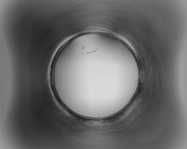 X0000100310995200806051325