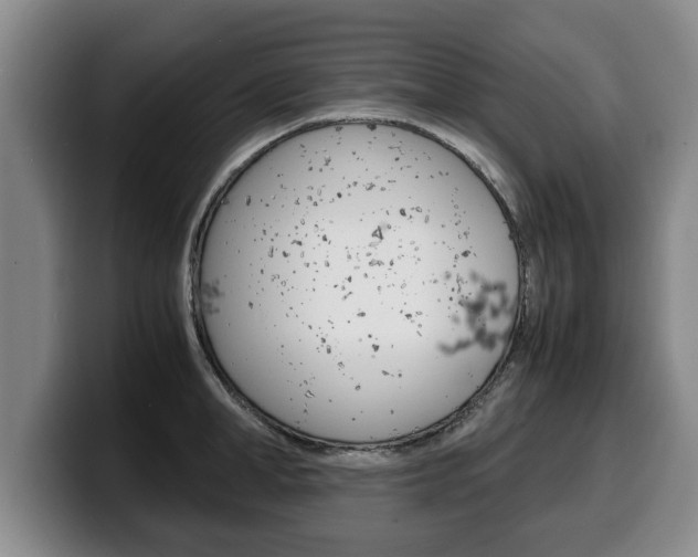 X0000100310998200806051325
