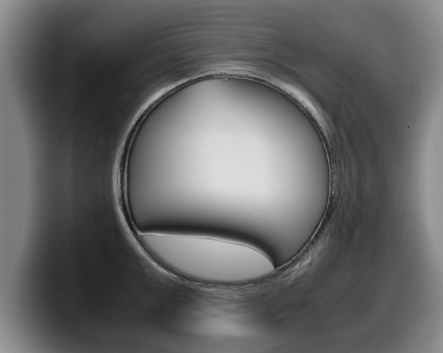 X0000100310999200806051325