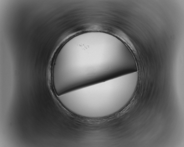 X0000100311000200806051325