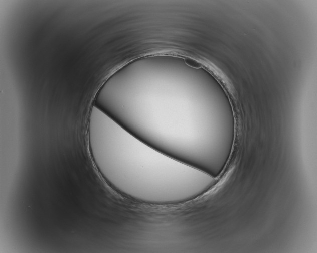 X0000100311001200806051325