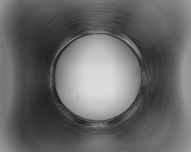 X0000100311002200806051325