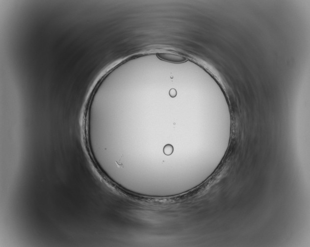 X0000100311003200806051325