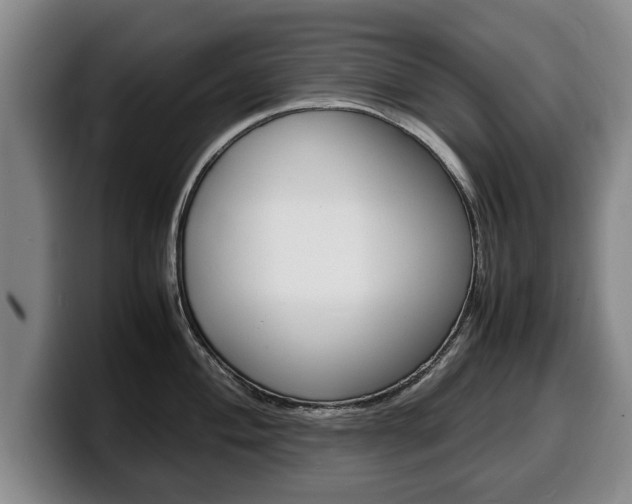 X0000100311004200806051325