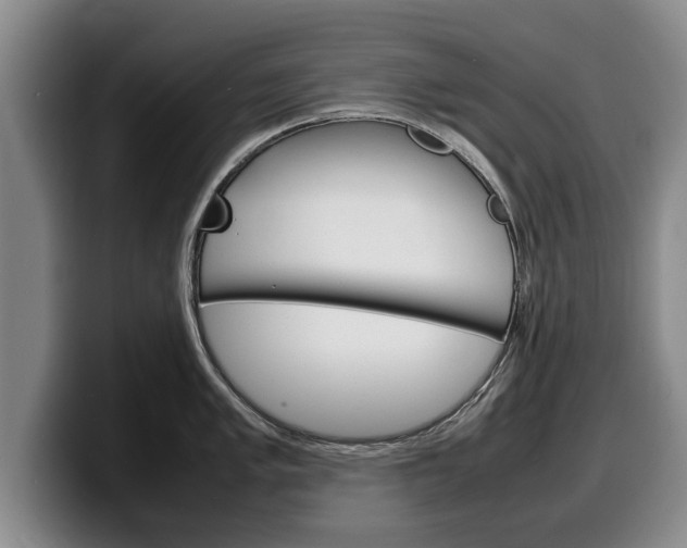 X0000100311005200806051325
