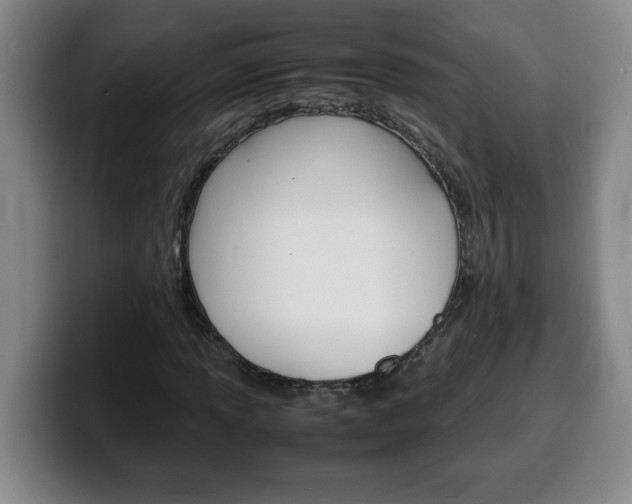 X0000100311013200806051324
