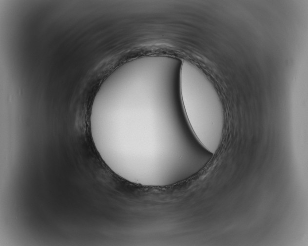 X0000100311014200806051324