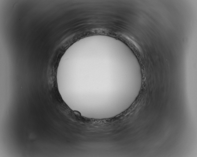 X0000100311015200806051324