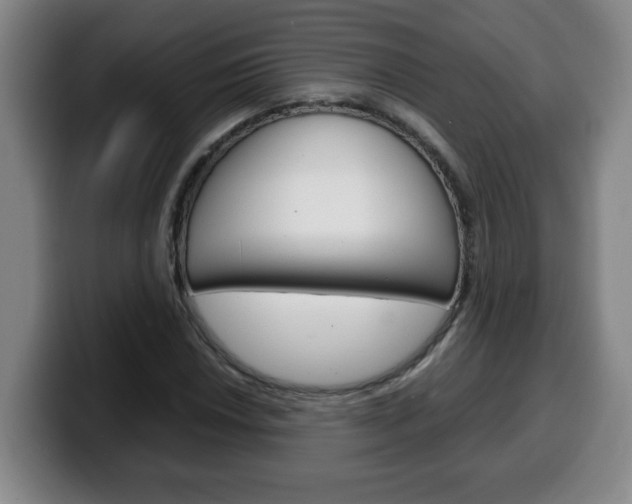 X0000100311018200806051324