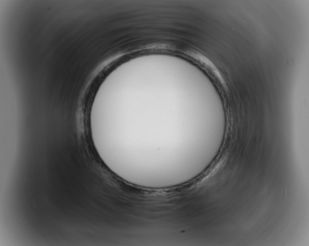 X0000100311019200806051324