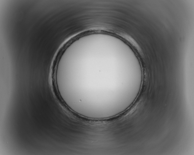 X0000100311020200806051324