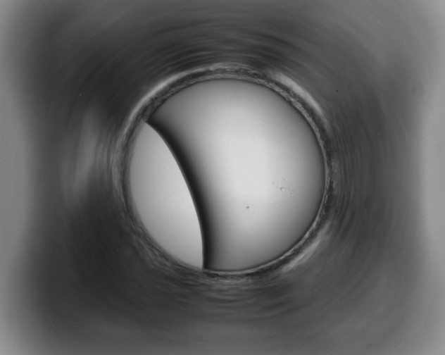 X0000100311021200806051324
