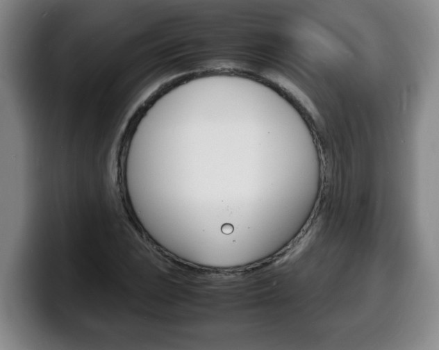 X0000100311023200806051324