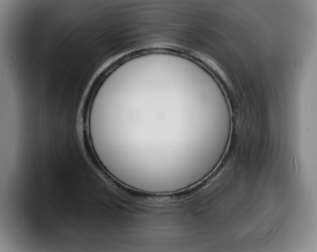 X0000100311024200806051324