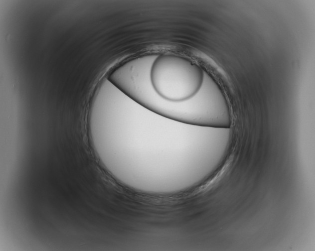 X0000100311025200806051324