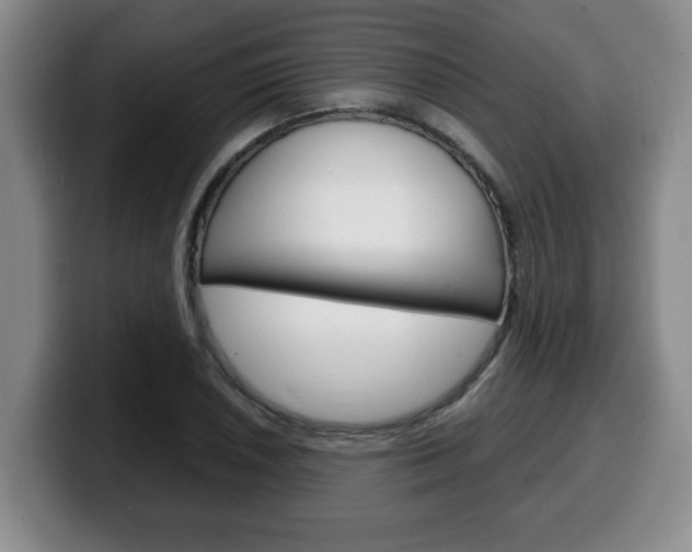 X0000100311026200806051324