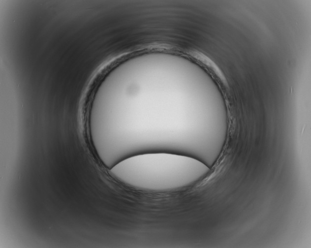 X0000100311027200806051324