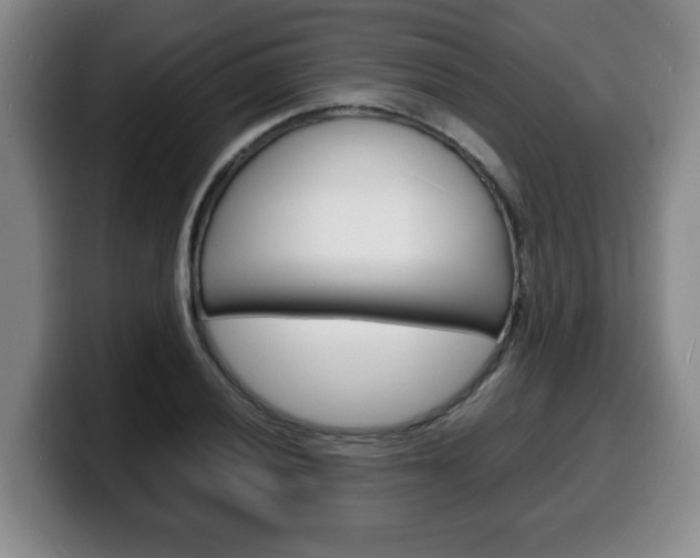 X0000100311028200806051324