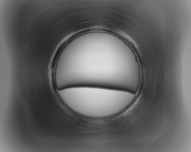X0000100311029200806051324