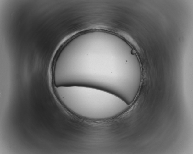 X0000100311032200806051324
