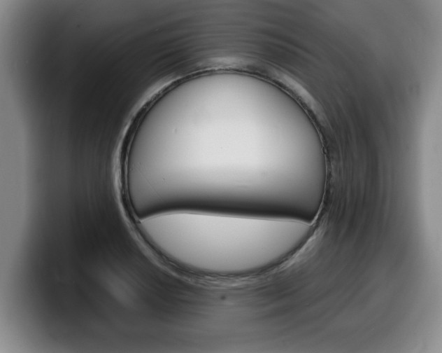 X0000100311034200806051324