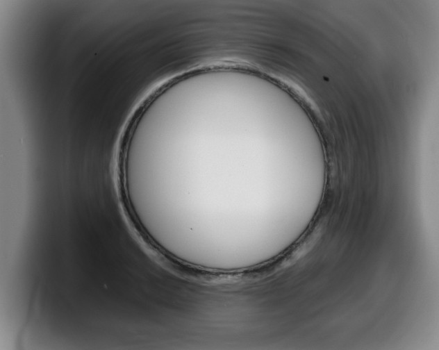 X0000100311038200806051324